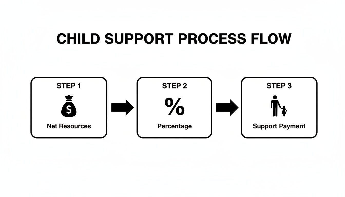 Flowchart showing child support calculation steps: Net Resources, Percentage, leading to Support Payment.