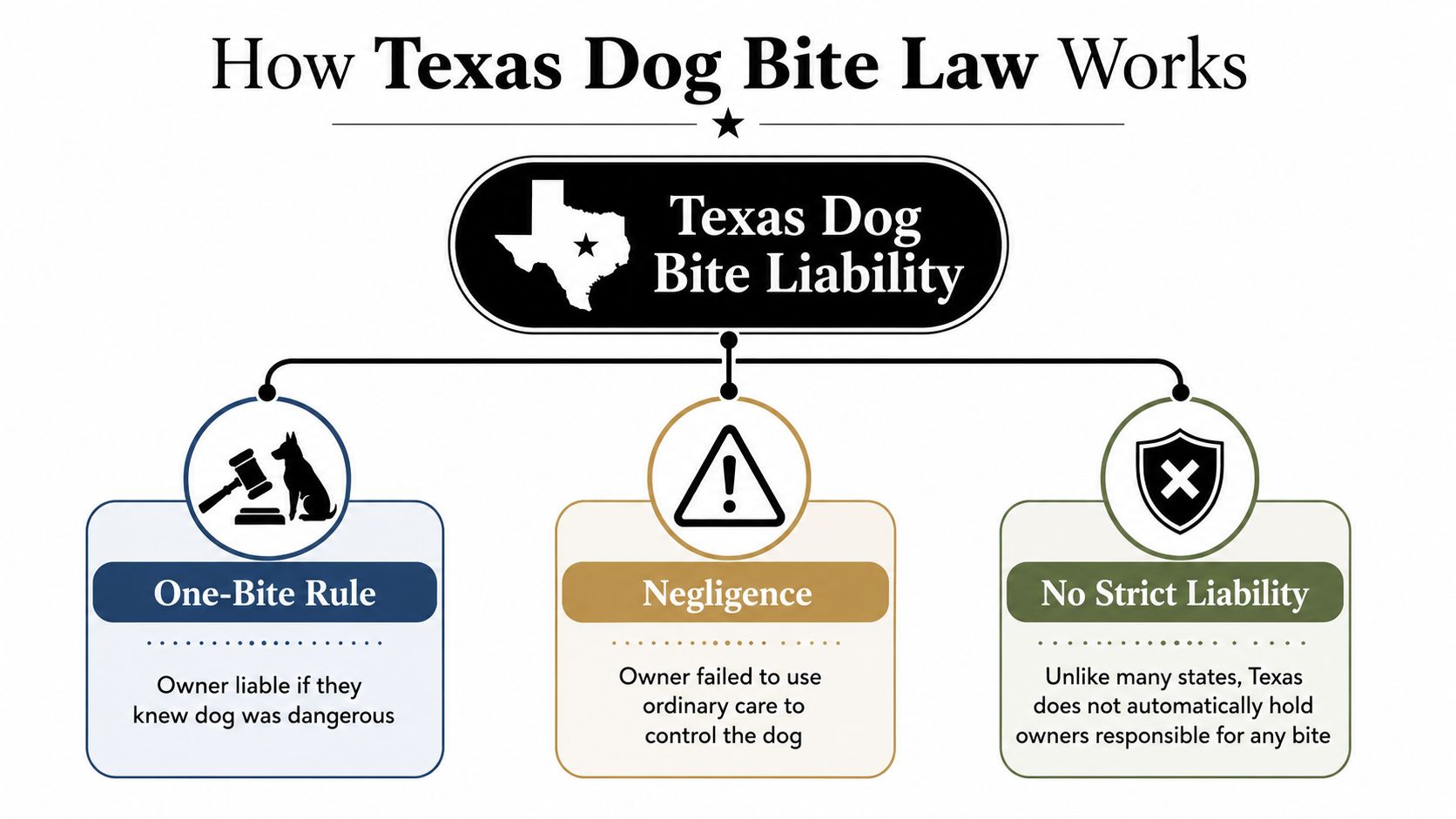 An infographic titled How Texas Dog Bite Law Works explaining the one-bite rule, negligence, and strict liability.
